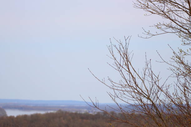 кентукки пейзаж в зимний период - ohio river valley фотографии стоковые фото и изображения
