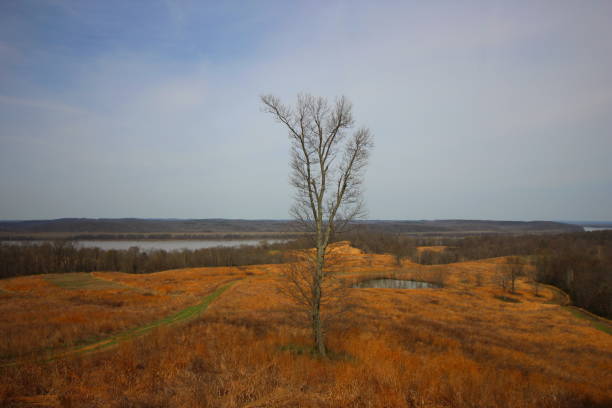 ケンタッキー冬の風景 - ohio river valley 写真 ストックフォトと画像