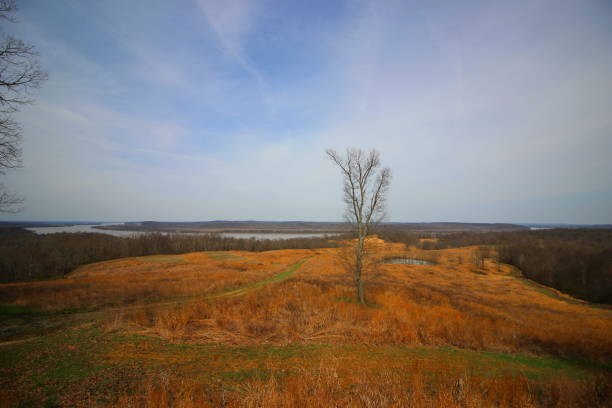 ケンタッキー冬の風景 - ohio river valley 写真 ストックフォトと画像