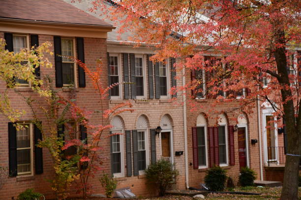 Autumn in Virginia