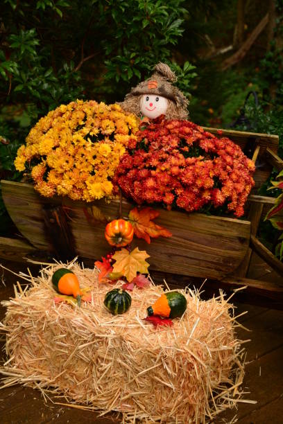 istock Autumn in Virginia 943531874