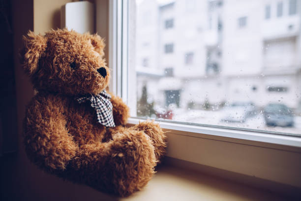 istock teddy is my best friend 943533258