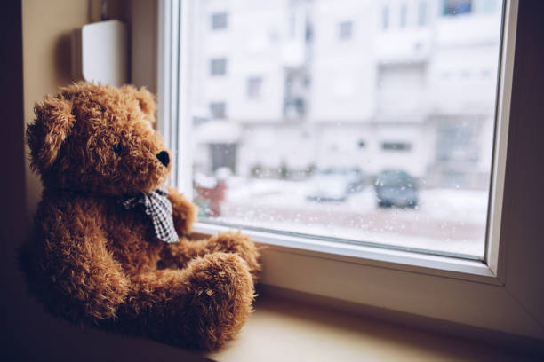 istock teddy is my best friend 943533472