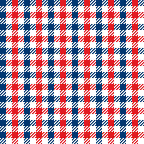 완벽 한 빈티지 블루와 레드 깅 엄 체크 패턴 질감 - blue gingham stock illustrations