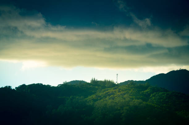 Green jungle canopy with communication tower and cloudy sky in the Seychelles