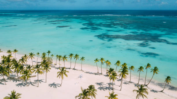 arco de casamento na praia - república dominicana - fotografias e filmes do acervo