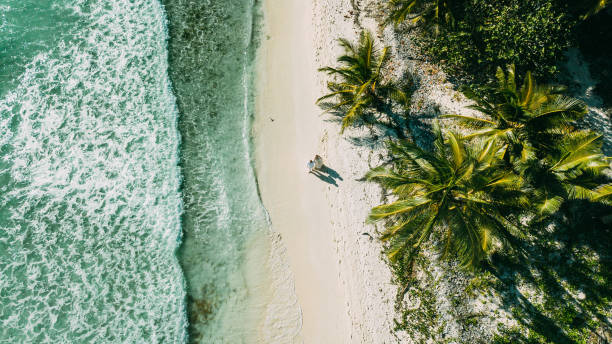 istock The couple walks on the beach between the ocean and palm trees 943560424