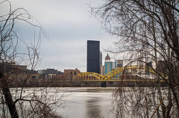 vistas de pittsburgh - pitts fotografías e imágenes de stock