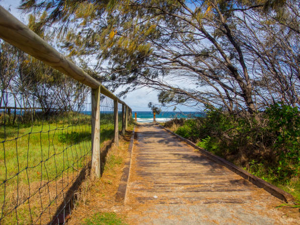 istock Entrance to the Beach 943570430