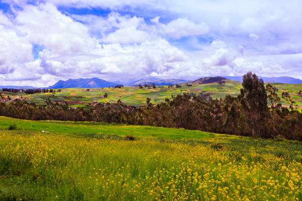 istock Beauty of Andes 943573188
