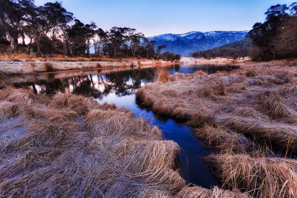 Photo of SM Crackenback frost grass rise