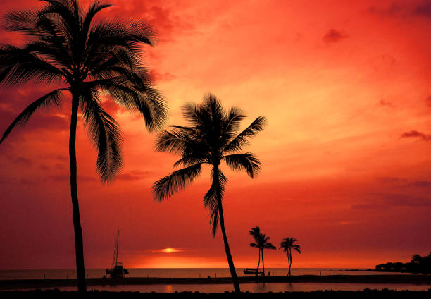 istock Hawaiian Sunset on Big Island 943576758