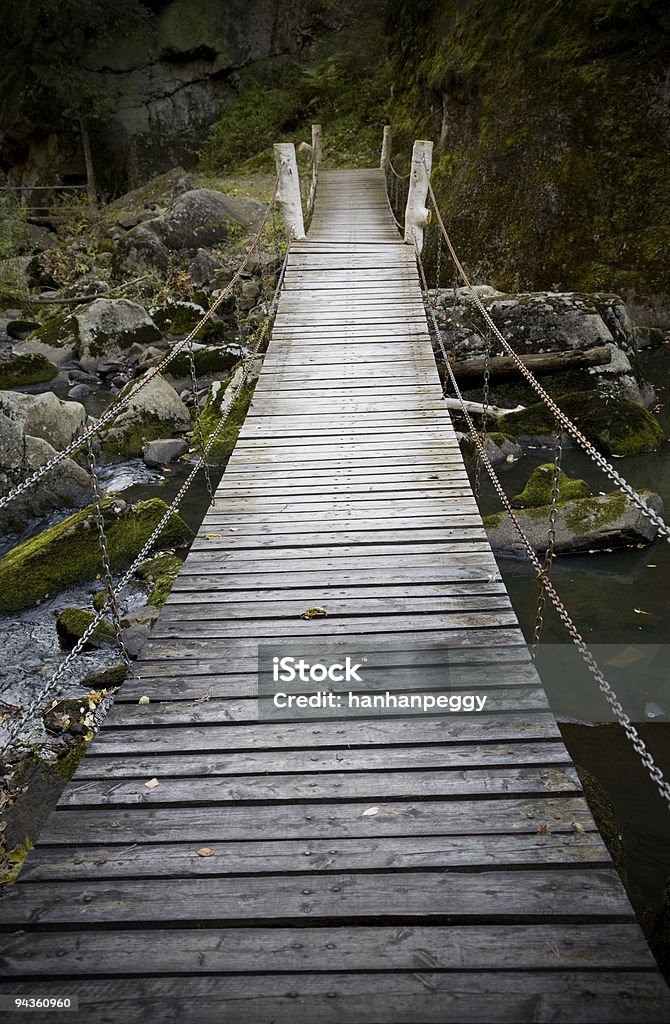 Most do forest - Zbiór zdjęć royalty-free (Bez ludzi)