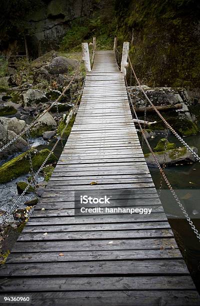 Foto de Ponte Para A Floresta e mais fotos de stock de Ajardinado - Ajardinado, Balançar, Balançar