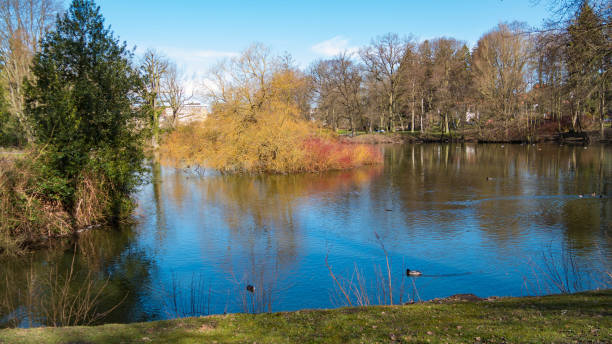 istock Pond, lake with a colored island of plants 943610464