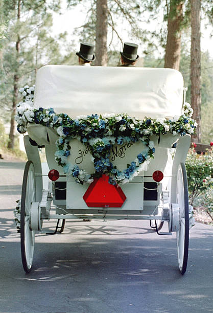 Baby stroller with beautiful petunia flowers.
