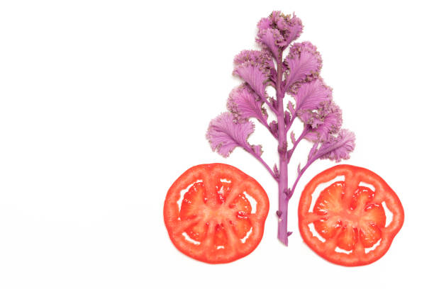 slice red ripe tomato and cabbage tree isolated top view, fruit and vegetable concept