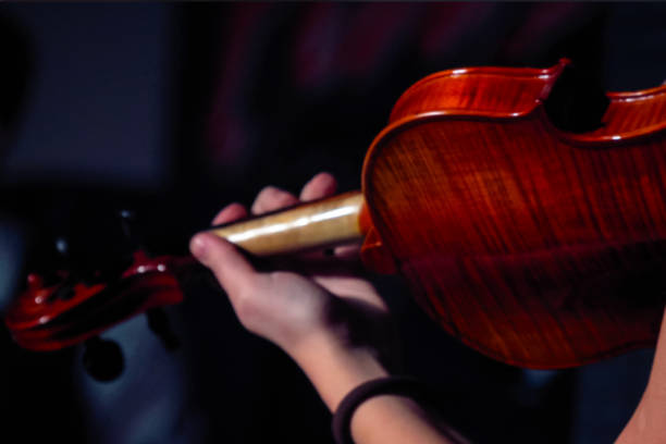 istock Girl Violinist playing the violin 943620698