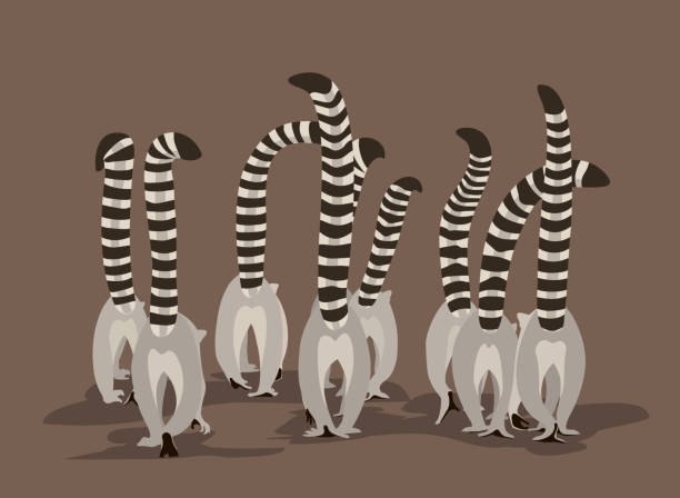 여우 원숭이의 무리 - zoo young animal africa group of animals stock illustrations