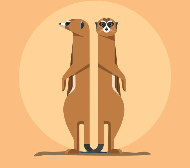 Meerkats are the children of the sun Two Meerkats stand on their hind legs and look closely at the sides, minimalistic illustration meerkat stock illustrations