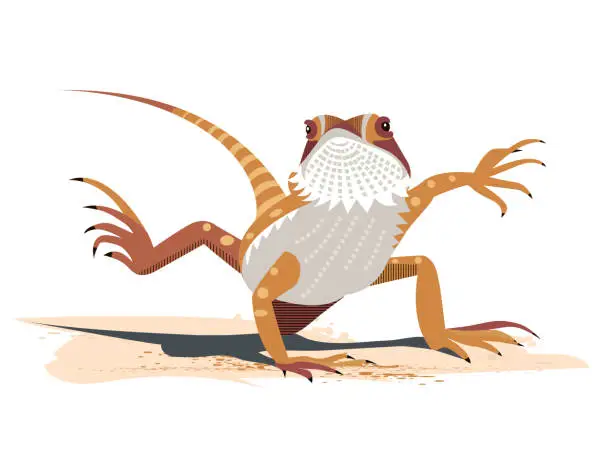 Vector illustration of Kung Fu of the Bearded Dragon