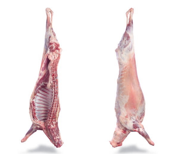 istock half of the lambs  a cutting 943627418