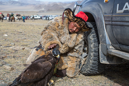 Kazakh Golden Eagle Hunter at traditional clothing, with a golden eagle on his arm during annual national competition with birds of prey Berkutchi of West Mongolia.