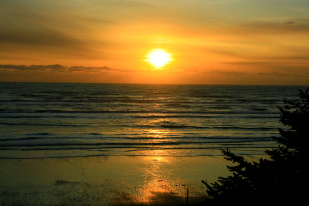 istock Pacific Northwest ocean and beach at sunset 943628404