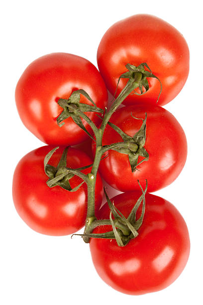 istock Branch of fresh tomatoes with water droplets isolated 94364128