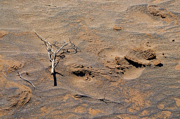 Details on the river stock photo