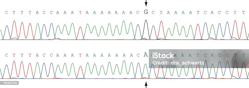 DNA を思わせる - DNAのロイヤリティフリーベクトルアート