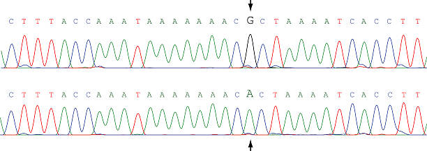 ilustrações, clipart, desenhos animados e ícones de dna mutação - 4824