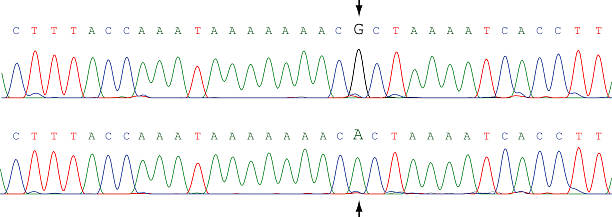 DNA mutation vector art illustration