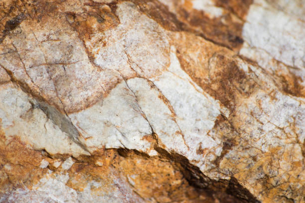 Geologic rock background composition full of veins composition