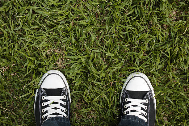 istock Black canvas sneakers on grass, top view 94365689