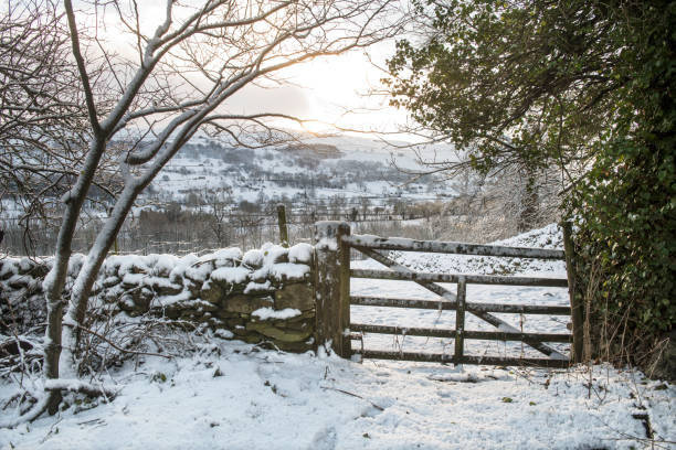 a winter view of   through a farm gate
