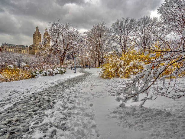 istock Central Park, New York City 943657172