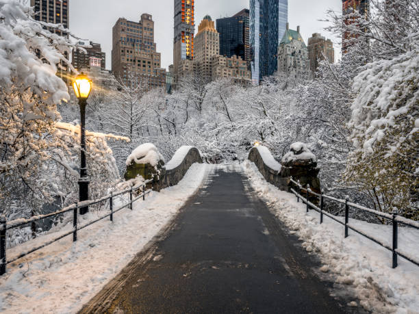 istock Gapstow bridge Central Park, New York City 943657356