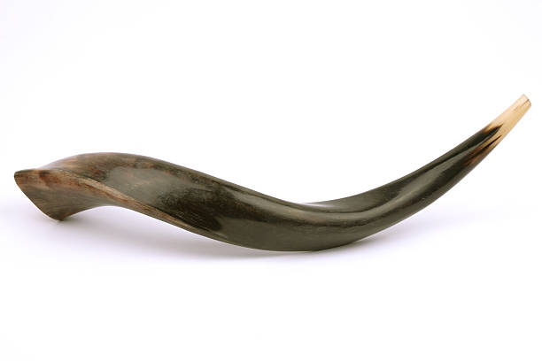 Shofar, isolated A horn used in the jewish holidays Rosh Hashana and Yom Kippur. religious celebration audio stock pictures, royalty-free photos & images
