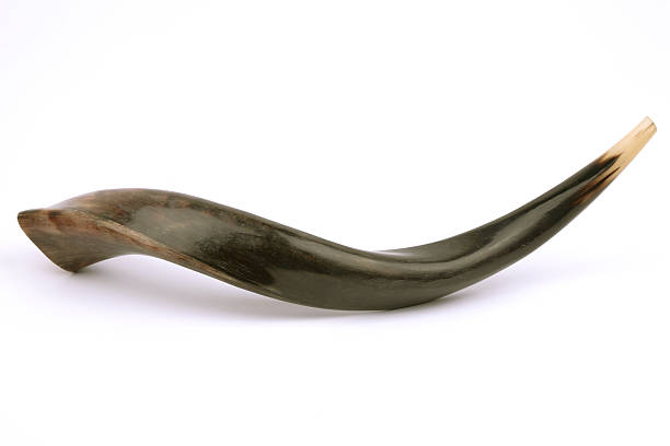 Shofar, isolada - foto de acervo