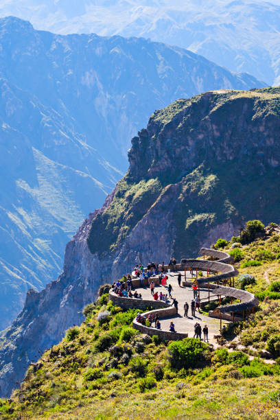 Colca canyon Tourists at the Cruz Del Condor viewpoint, Colca canyon, Peru arequipa province stock pictures, royalty-free photos & images