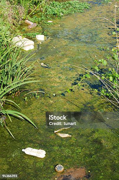 Wasserverschmutzung Stockfoto und mehr Bilder von Abwasser - Abwasser, Alge, Bach