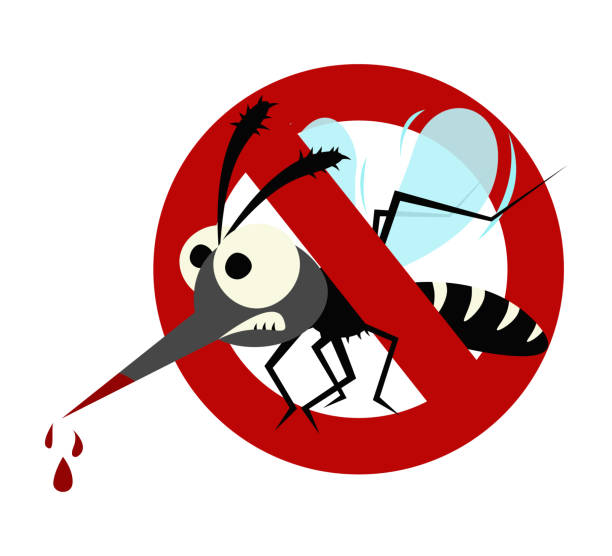 495 Dengue Fever Cartoon Illustrations & Clip Art - iStock