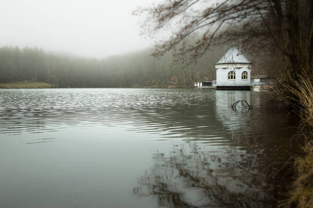 istock Pump house in the Itzenplitzer Weiher at Heiligenwald, Schiffweiler 943665672