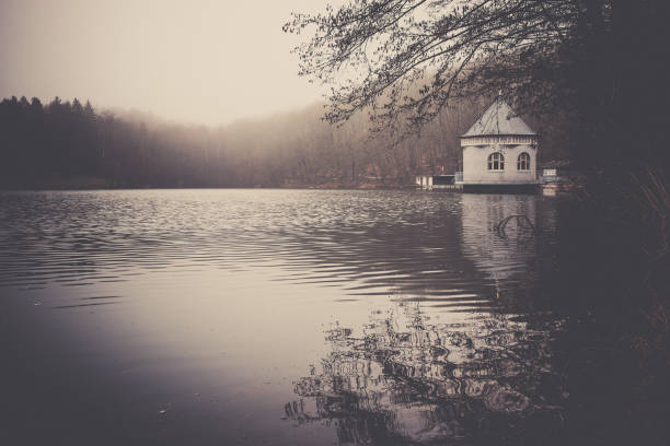 istock Pump house in the Itzenplitzer Weiher at Heiligenwald, Schiffweiler 943665836