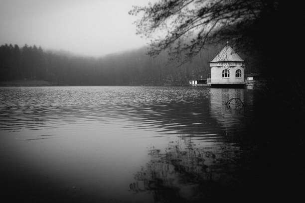 istock Pump house in the Itzenplitzer Weiher at Heiligenwald, Schiffweiler 943665854