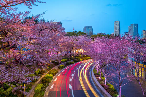 istock tokyo city at night 943665942