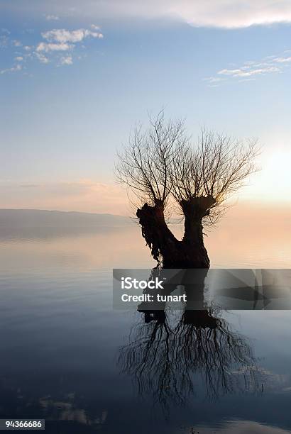 Sonido De Traza En Agua Foto de stock y más banco de imágenes de Agua - Agua, Agua estancada, Aire libre