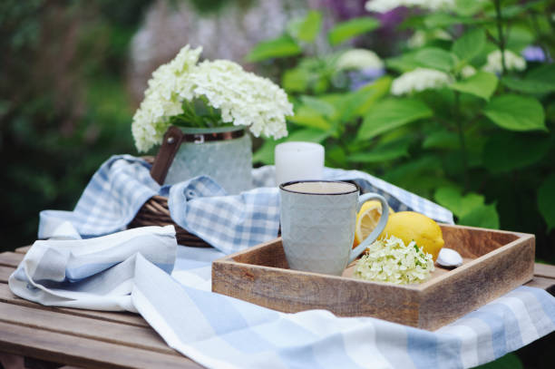 Summer breakfast in beautiful blooming garden. Tea with lemon, hydrangea flowers on wooden table with green background. Summertime and country slow living concept