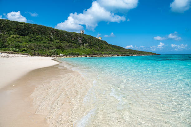istock Okinawa's fascinating sea 943675896
